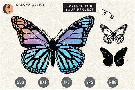 Layered Butterfly Svg Cut File 905779 Cut Files Design Bundles