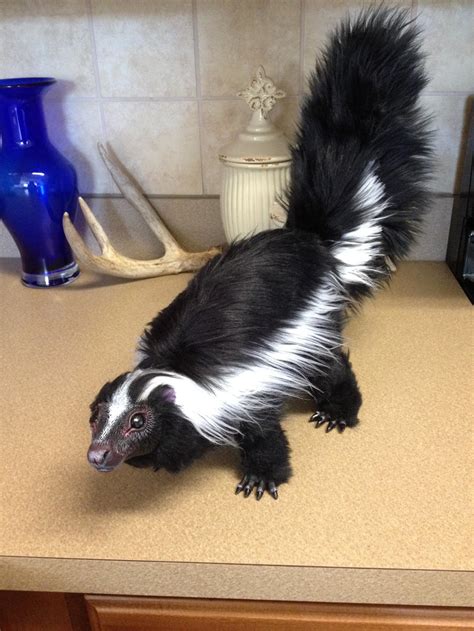 Realistic Skunk Plush By Darkangellord69 On Deviantart