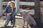Schweinchen Wilbur und seine Freunde: Die Galerie zum Film - Bilder ...