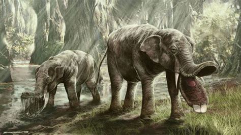 8 Prehistoric Creatures From Your Nightmares Mental Floss