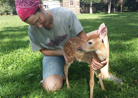 Becoming A Wildlife Rehabilitator In Pennsylvania Is It For You