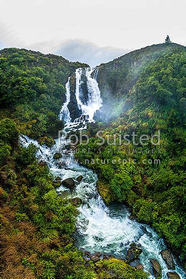 Waipunga Falls 40m At The Confluence Of The Waiarua Stream Left