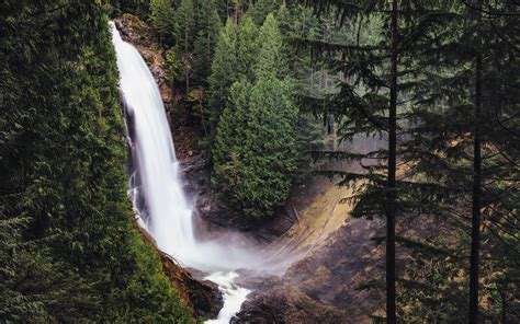 Waterfall Beside Green Leaved Pine Trees During Daytime Hd Wallpaper