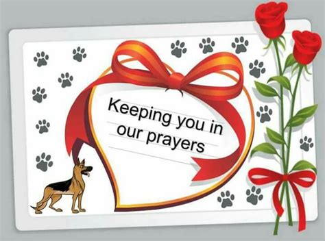 Prayer For Your Sick Pet Peepsburghcom