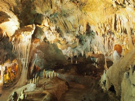 Limestone Caves The Australian Museum