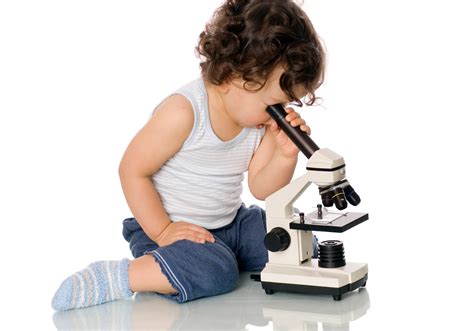 The Beginner S Guide To Microscopy Rs Science