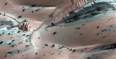 Are Trees Growing On Mars