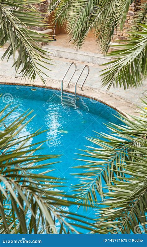 Swimming Pools Surrounded By Palm Trees And Lush Evergreen In A