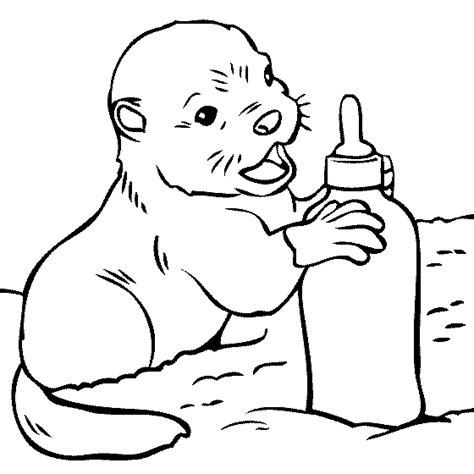 New sea otter coloring sheet design #10814 Animal Coloring Pages - Best Coloring Pages For Kids