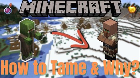 How To Cure Zombie Villagers In Minecraft Youtube
