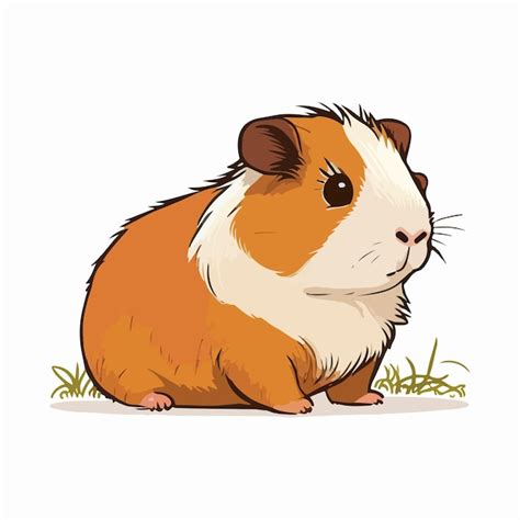 Premium Vector Vector Cute Guinea Pig Cartoon Style