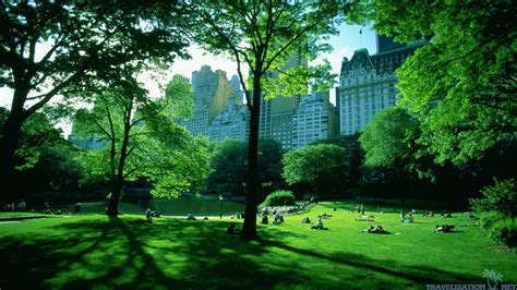 Central Park New York Wallpapers Wallpaper Cave