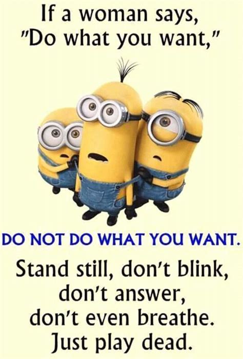Funny Minions Quotes With Images SliControl Com