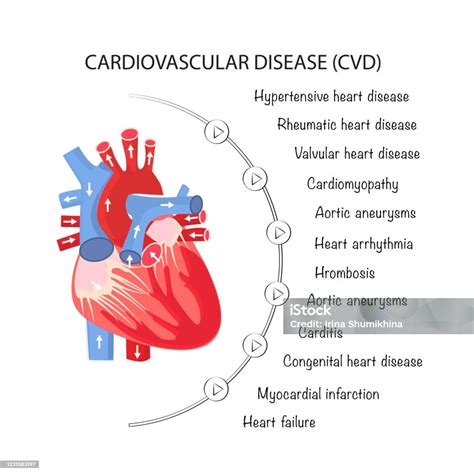 The Human Heart And All Types Of Cardiovascular Diseases Poster For