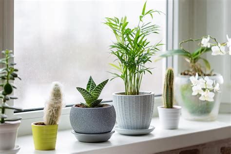 4 Ways To Decorate Your Kitchen Plant Window Window Installation Md