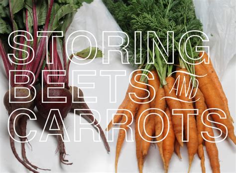 Storing Beets And Carrots Mauledbydesign