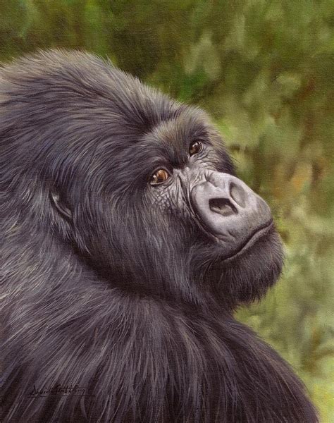 Mountain Gorilla Painting Painting By David Stribbling Fine Art America