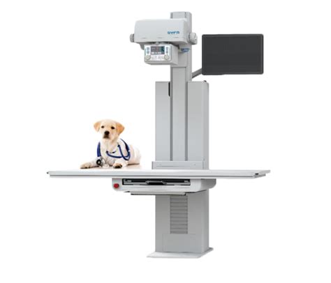 Aro Systems Veterinary X Ray Equipment Aro Systems