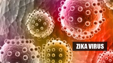 Sexually Transmitted Zika Virus Case Confirmed