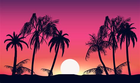 Sunset And Silhouettes Of Palm Trees Tropical Beach On Background Pink