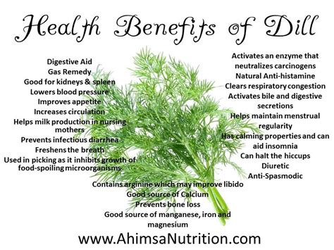 health benefits of dill herbs health benefits remedies