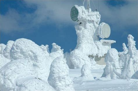 Snow Monsters In Japan 16 Pics