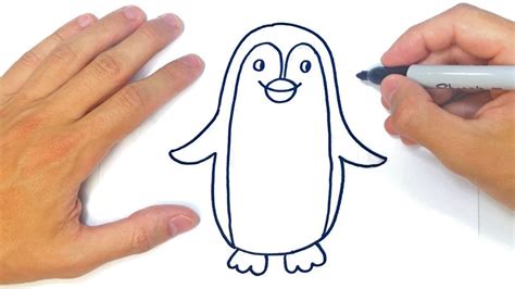 Cómo Dibujar Un Pingüino 】 Paso A Paso Muy Fácil 2024 Dibuja Fácil