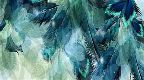 1080p free download teal blue feathers blur background teal hd wallpaper peakpx