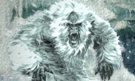 Yeti Abominable Snowman Hairs Collected From The Himalayas Have Been