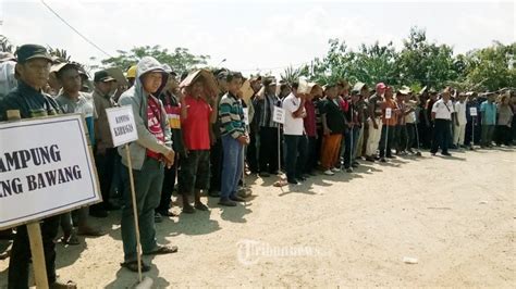 Ribuan Petani Plasma Sawit Way Kanan Gelar Apel Dan Doa Bersama Tolak Eksekusi Lahan Inti