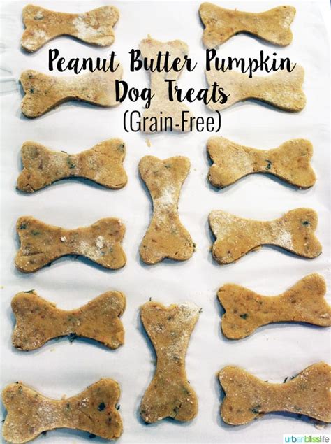 Easy Homemade Peanut Butter Pumpkin Grain Free Dog Treats