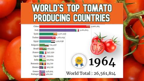 Top 15 Tomato Producing Countries In The World Youtube