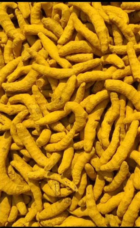 Selum Turmeric Finger At Rs 145 Kg Turmeric Finger In Sangli ID