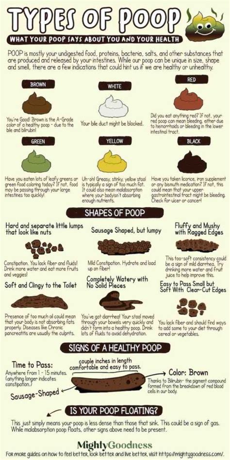 13 Different Types Of Poop 13 Shocking Things Different Kinds Of Poop