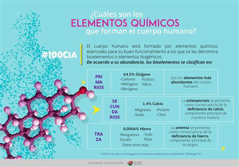 ¿cuáles Son Los Elementos Químicos Que Forman El Cuerpo Humano Nte