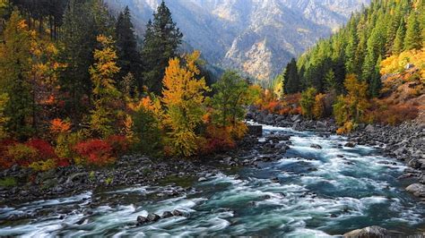 Beautiful Rapid Flowing River In Autumn Mountain Forest Rocks