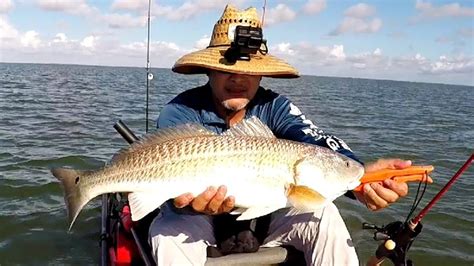 Busy Fighting Redfish Galveston Texas Kayak Fishing Youtube