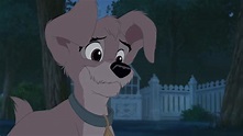 Lady and the Tramp II: Scamp’s Adventure (2001) – Movie Reviews Simbasible