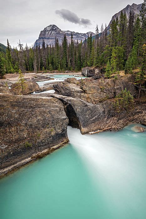 Natural Bridge And The Turquoise Water Of Kicking Horse River In Yoho