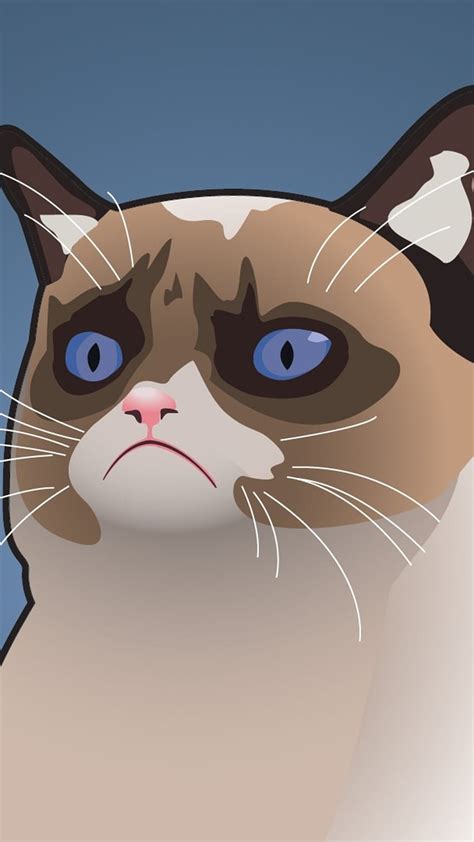 Funny Memes Grumpy Cat Hd Phone Wallpaper Pxfuel