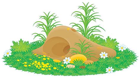 Animal Den Clip Art Vector Images And Illustrations Istock