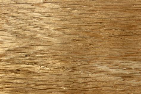 Solid Oak Wood Texture