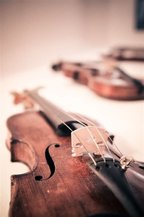 Violin Violins Classical Music · Free Photo On Pixabay