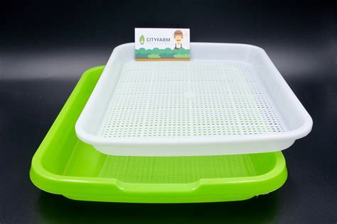 Sprout Plate Seedling Tray Nursery Tray Cityfarm Malaysia The
