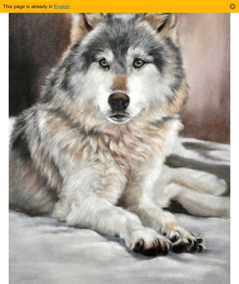 Wolf Artwork Dog Art Husky Sketches Drawings Dogs Artist Wolves
