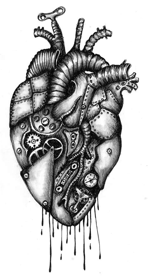 Anatomical Heart Drawing Outline Img Daisy