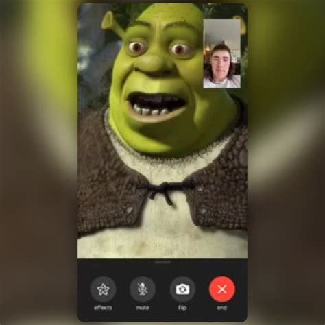 Facetime Shrek Lens By Asa¨̮ Snapchat Lenses And Filters