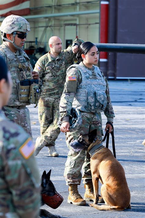 Dogs Handlers From Across Us Army Train At Fort Benning For Deployment