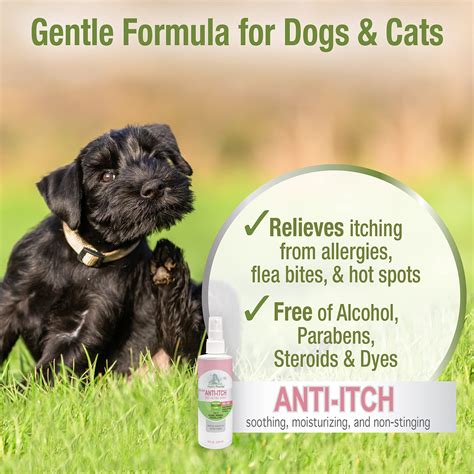 Can Dogs Use Cortisone Anti Itch