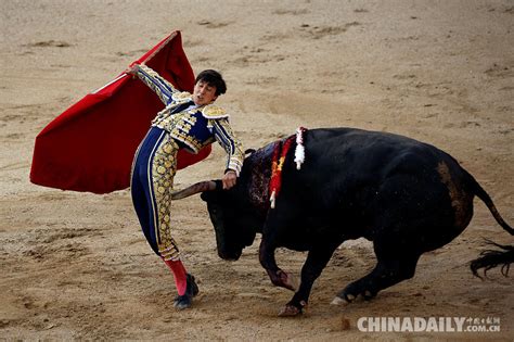 西班牙马德里举办斗牛集会 场面惊险看头十足 1 中国日报网